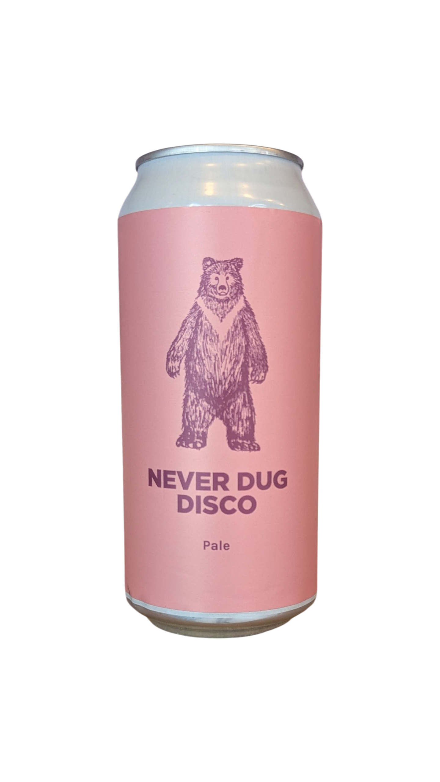 Never Dug Disco