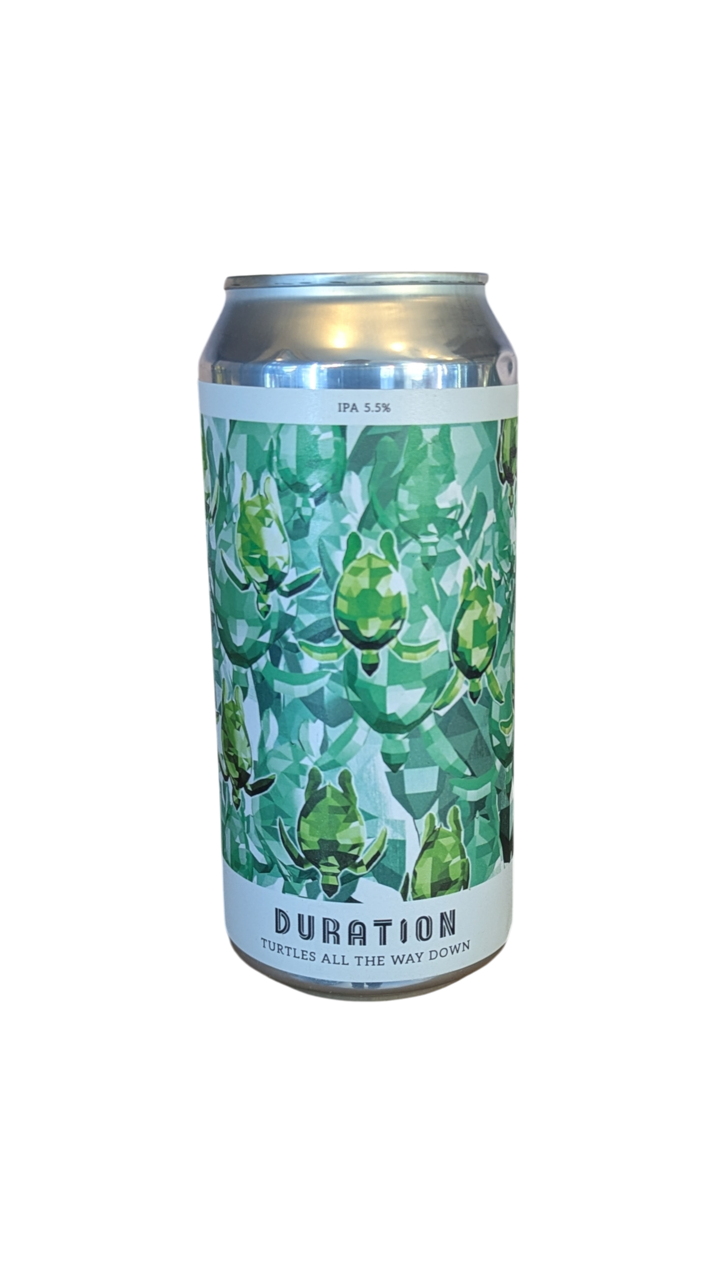 Turtles All The Way Down